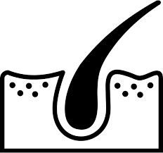 مو